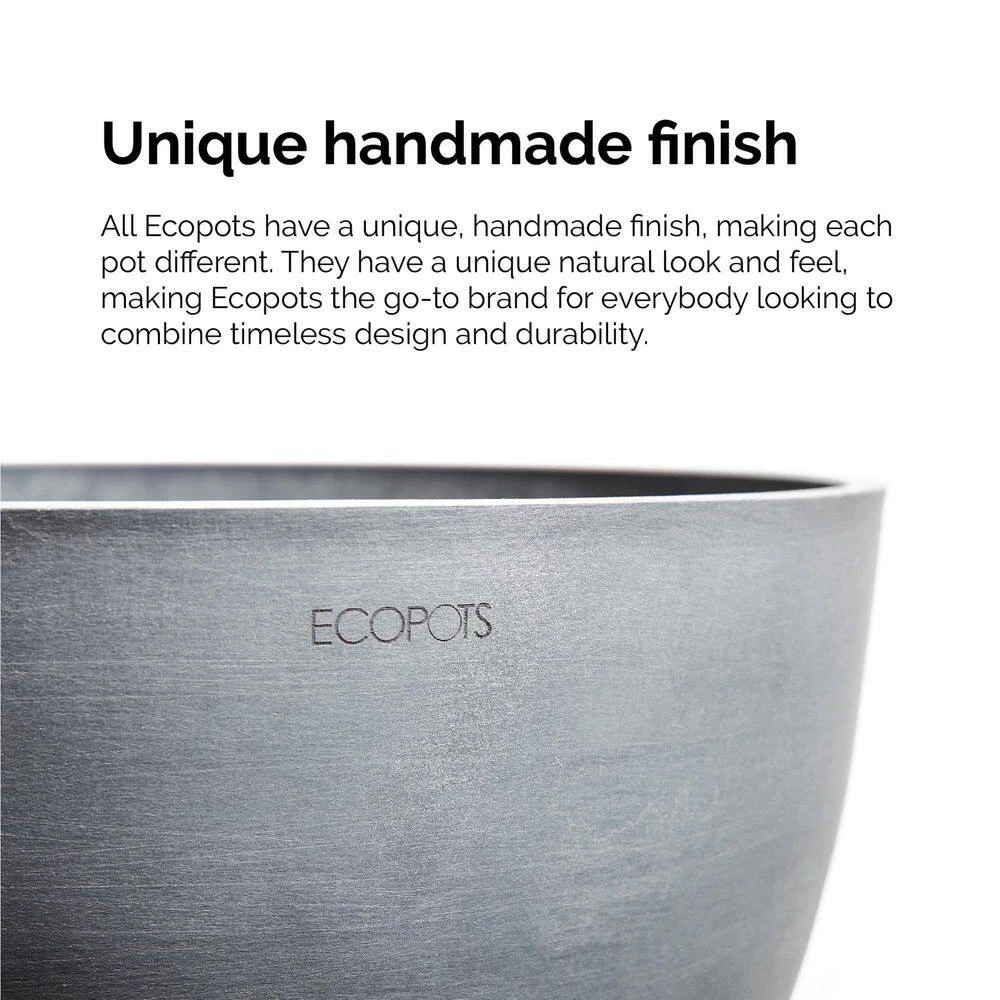 Areca Palm Dypsis Lutescens Live Plant In 6 Inch Premium Sustainable Ecopots White Grey Pot 3 Areca Palm Dypsis Lutescens Live Plant In 6 Inch Premium Sustainable Ecopots White Grey Pot - Image 3