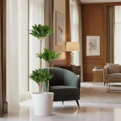 10 In. Dracaena Janet Craig Compacta Plant In White Decor Pot -United Nursery united nursery house plants dracjcc10hw 4f 1000