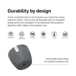 Fukiean Tea Live Bonsai In 6 Inch Premium Sustainable Ecopots Dark Grey Pot With Removeable Drainage Plug 7 Fukiean Tea Live Bonsai In 6 Inch Premium Sustainable Ecopots Dark Grey Pot With Removeable Drainage Plug -United Nursery united nursery house plants ftea6shdg 1f 1000