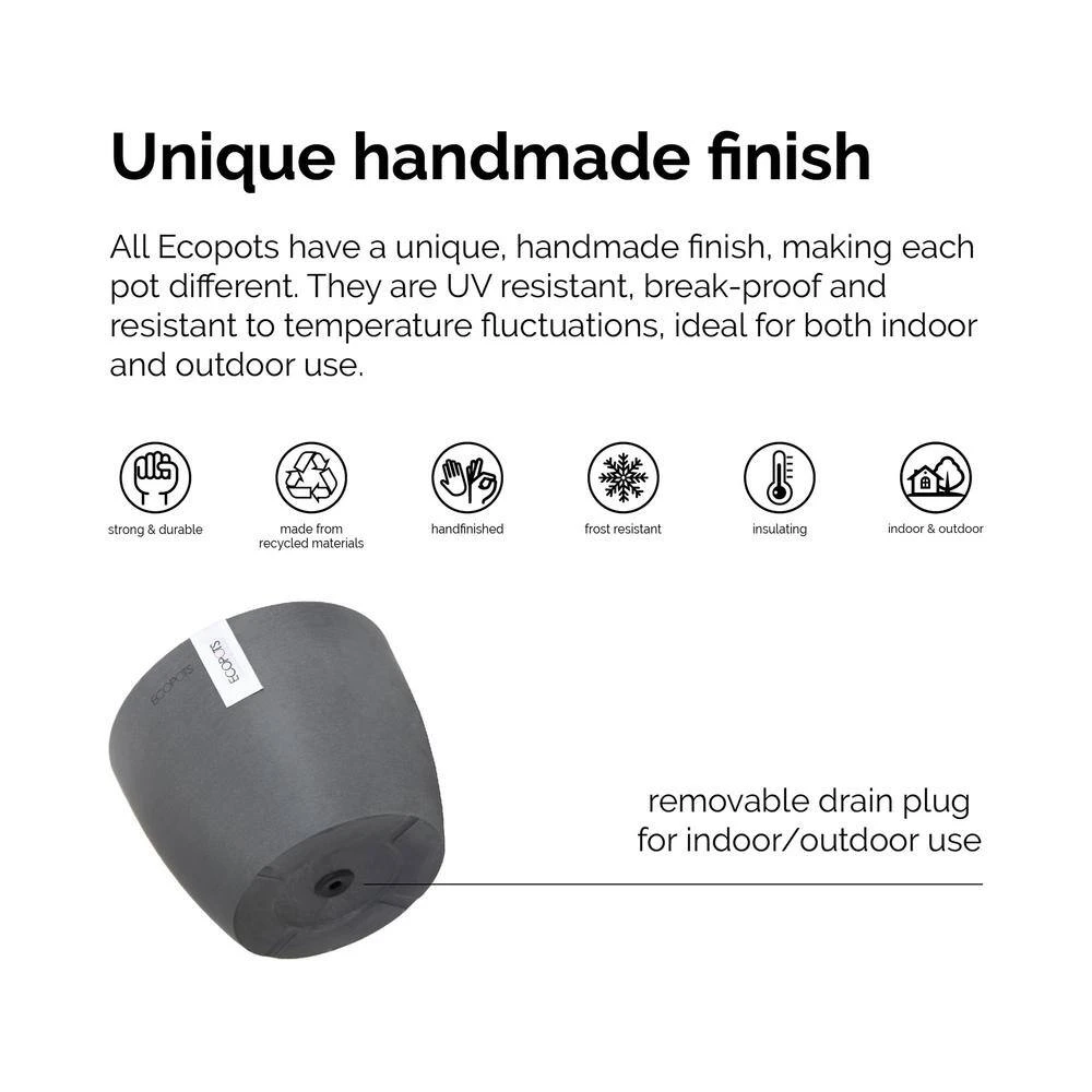 Neanthebella Palm Chamaedorea Elegans Parlor Palm Live Plant In 6 Inch Premium Sustainable Ecopots Terracotta Pot 5 Neanthebella Palm Chamaedorea Elegans Parlor Palm Live Plant In 6 Inch Premium Sustainable Ecopots Terracotta Pot - Image 5