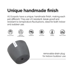 Yucca Cane Live Indoor Outdoor Plant In 10 Inch Premium Sustainable Ecopots White Grey Pot With Removeable Drainage Plug 10 Yucca Cane Live Indoor Outdoor Plant In 10 Inch Premium Sustainable Ecopots White Grey Pot With Removeable Drainage Plug -United Nursery united nursery house plants ycane10wg 44 1000