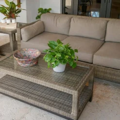 Golden Pothos Indoor Vining Houseplant In 6 In. Grower Pot 7 Golden Pothos Indoor Vining Houseplant In 6 In. Grower Pot -United Nursery united nursery pothos plants 22310 c3 1000