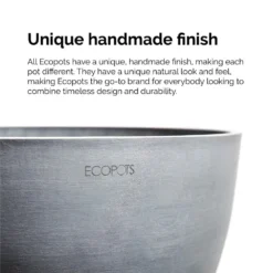 Sansevieria Zeylanica Live Snake Plant In 6 Inch Premium Ecopots Grey Pot 8 Sansevieria Zeylanica Live Snake Plant In 6 Inch Premium Ecopots Grey Pot -United Nursery united nursery snake plants szey6shgry 44 1000