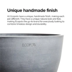 Sansevieria Zeylanica Live Snake Plant In 6 Inch Premium Ecopots Terracotta 8 Sansevieria Zeylanica Live Snake Plant In 6 Inch Premium Ecopots Terracotta -United Nursery united nursery snake plants szey6shtrc 44 1000